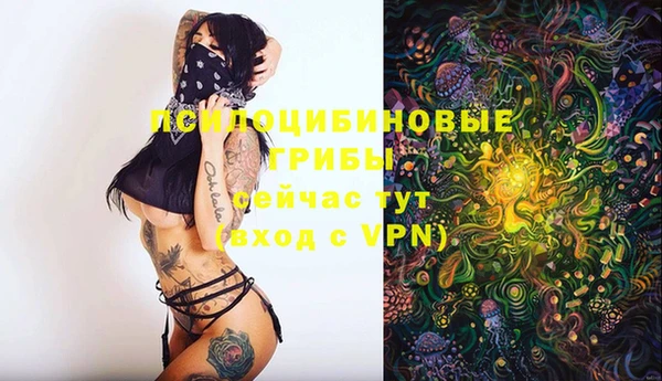 соль ск Верея