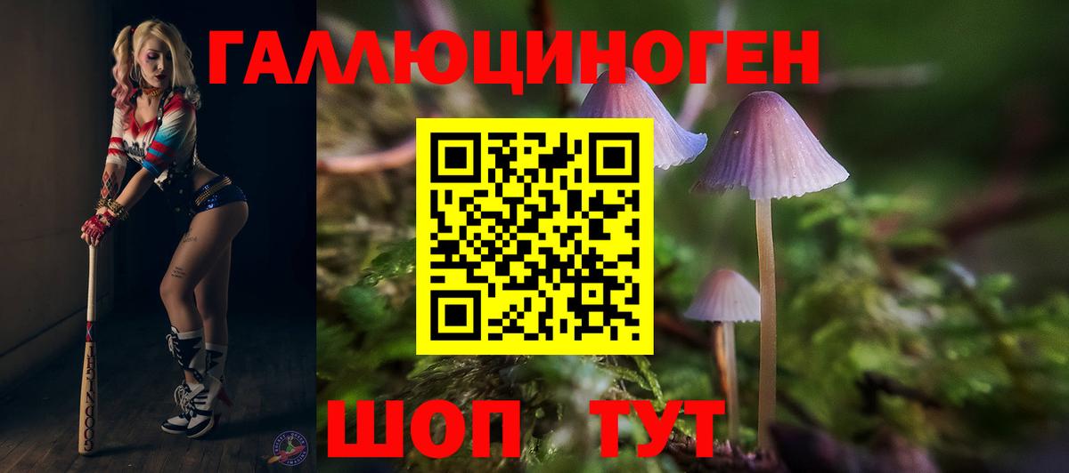 Псилоцибиновые грибы мухоморы  Вход с VPN  Славянск-на-Кубани 